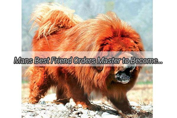 Mans Best Friend Orders Master to Become a Eunuch The Bizarre Story of Loyalty andodd Commands